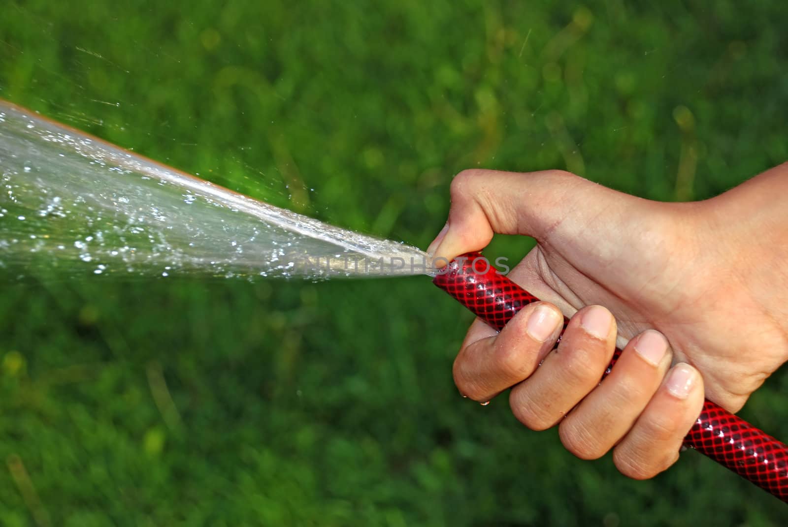 Watering grass by simply