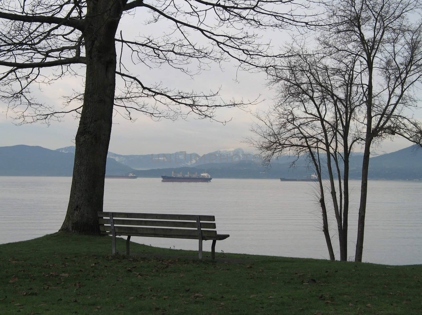 trees in a park by the ocean