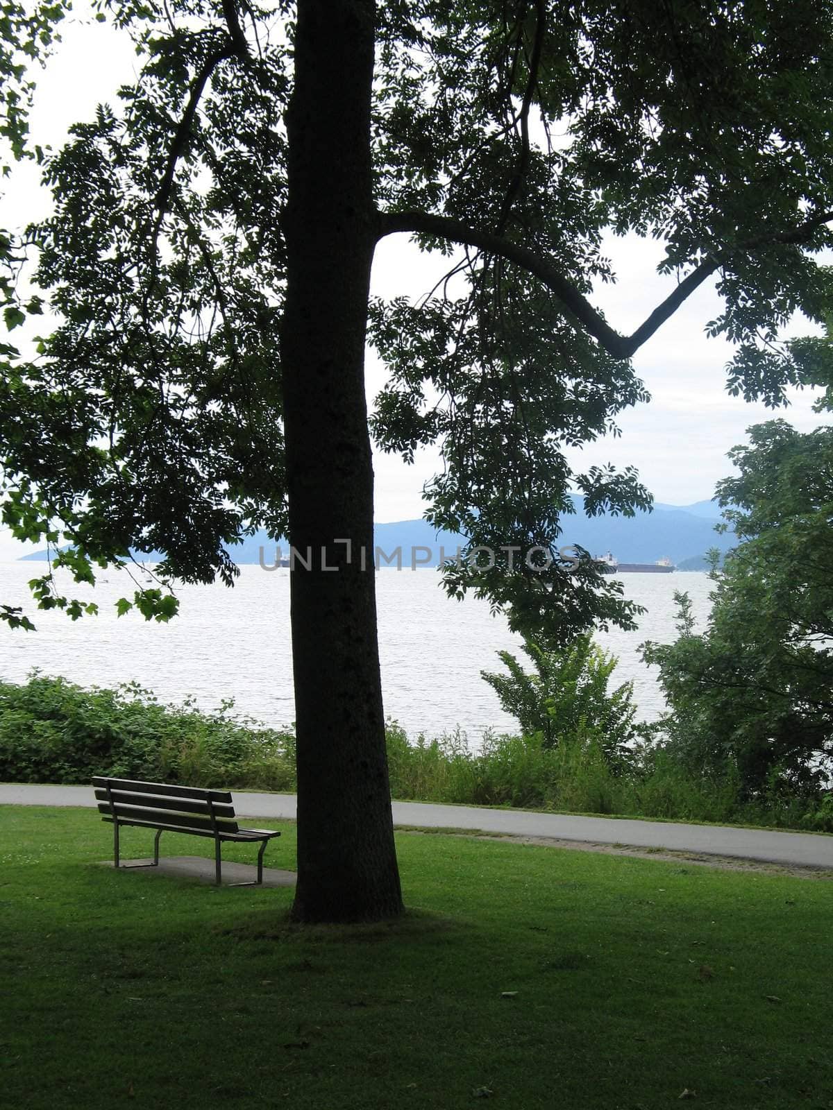 bench in a park by the ocean