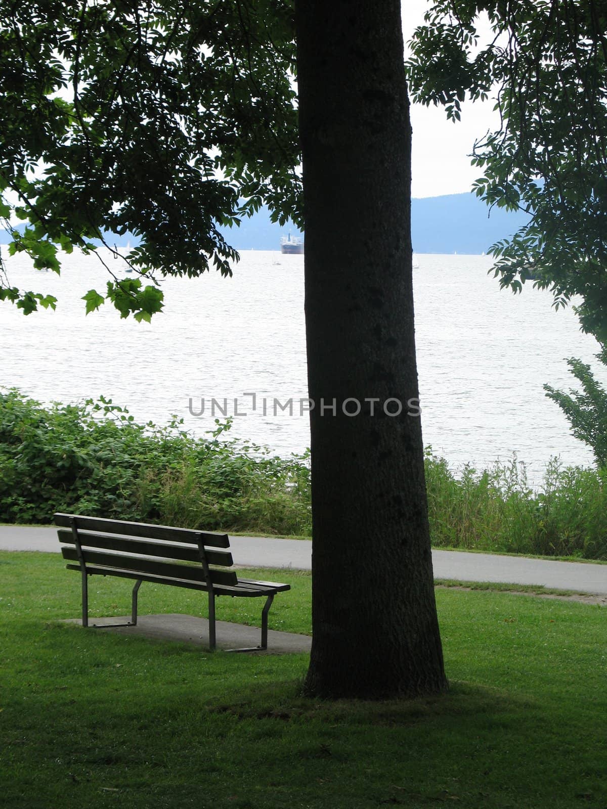 bench in a park by the ocean