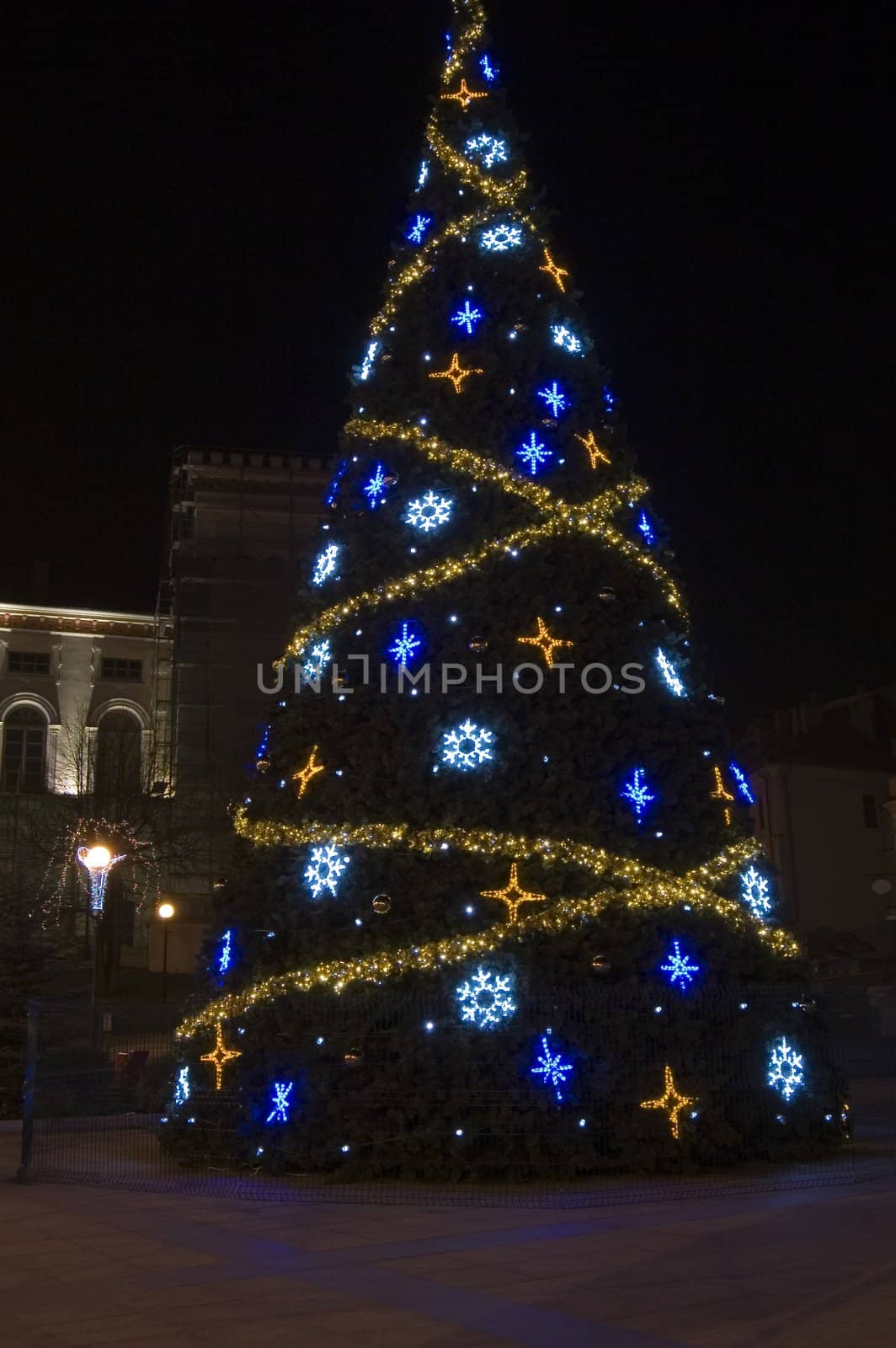 beautiful christmas tree in city in Poland