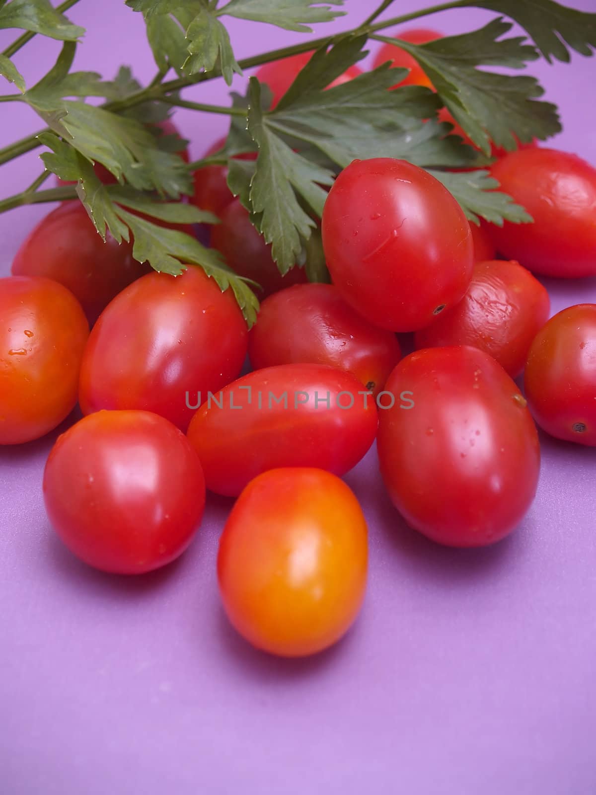  cherry tomatoes and parsley by lauria