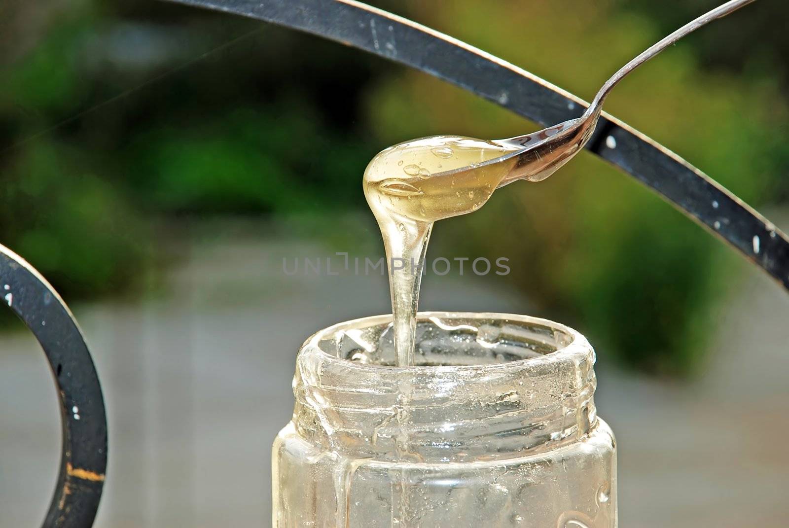 dense sweet gold honey on spoon from jar