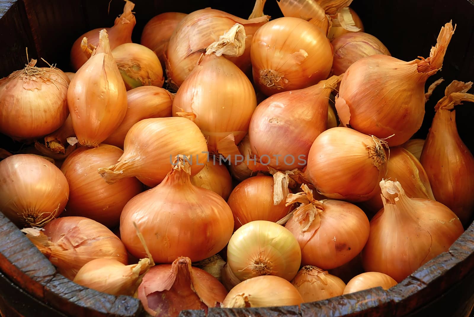 Gold Onions in wooden barrel by simply