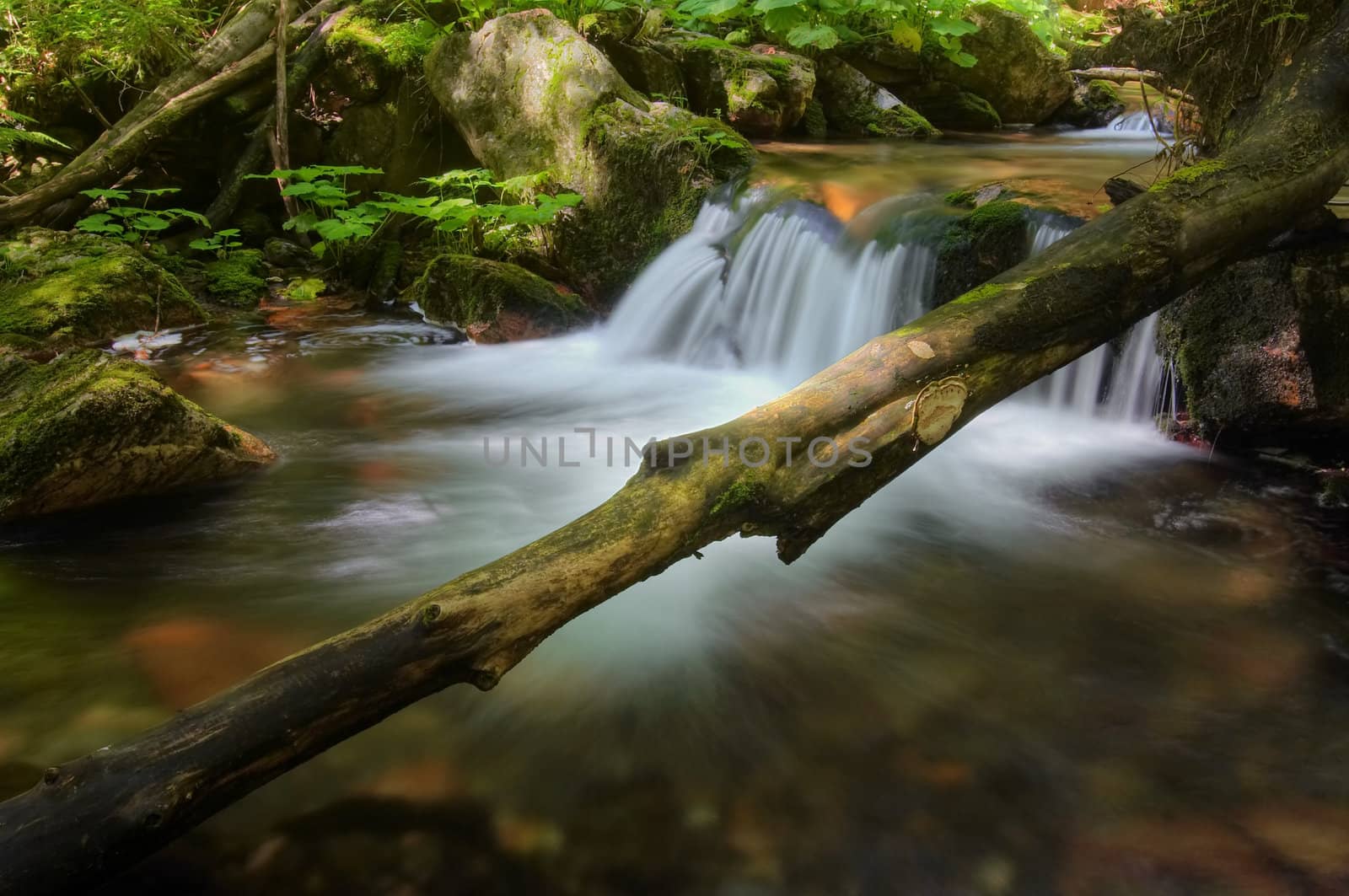 Shot of the cataracts.
River valley of stream White Opava - natural area - nature preserve.
Mountainous district Jesenik, Czech republic, Europe.