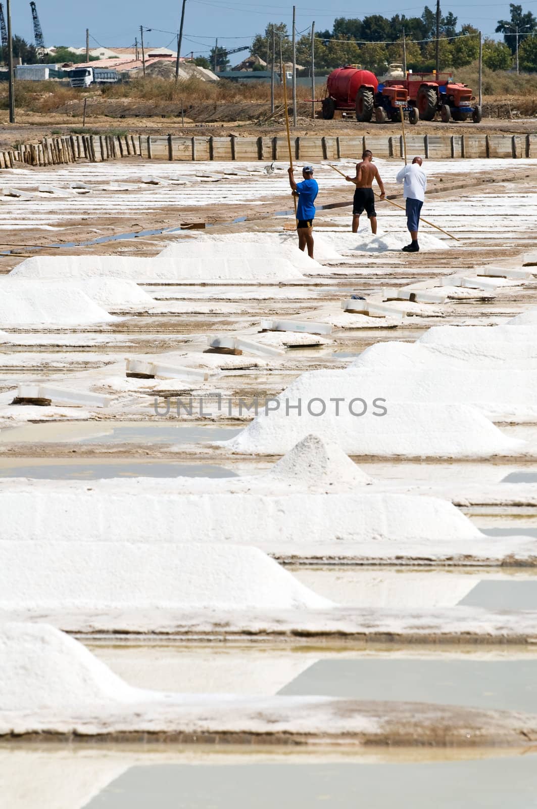 Portugal, Algarve. Saline marshes in Tavira.