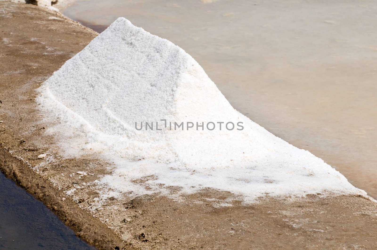 Portugal, Algarve. Saline marshes in Tavira.