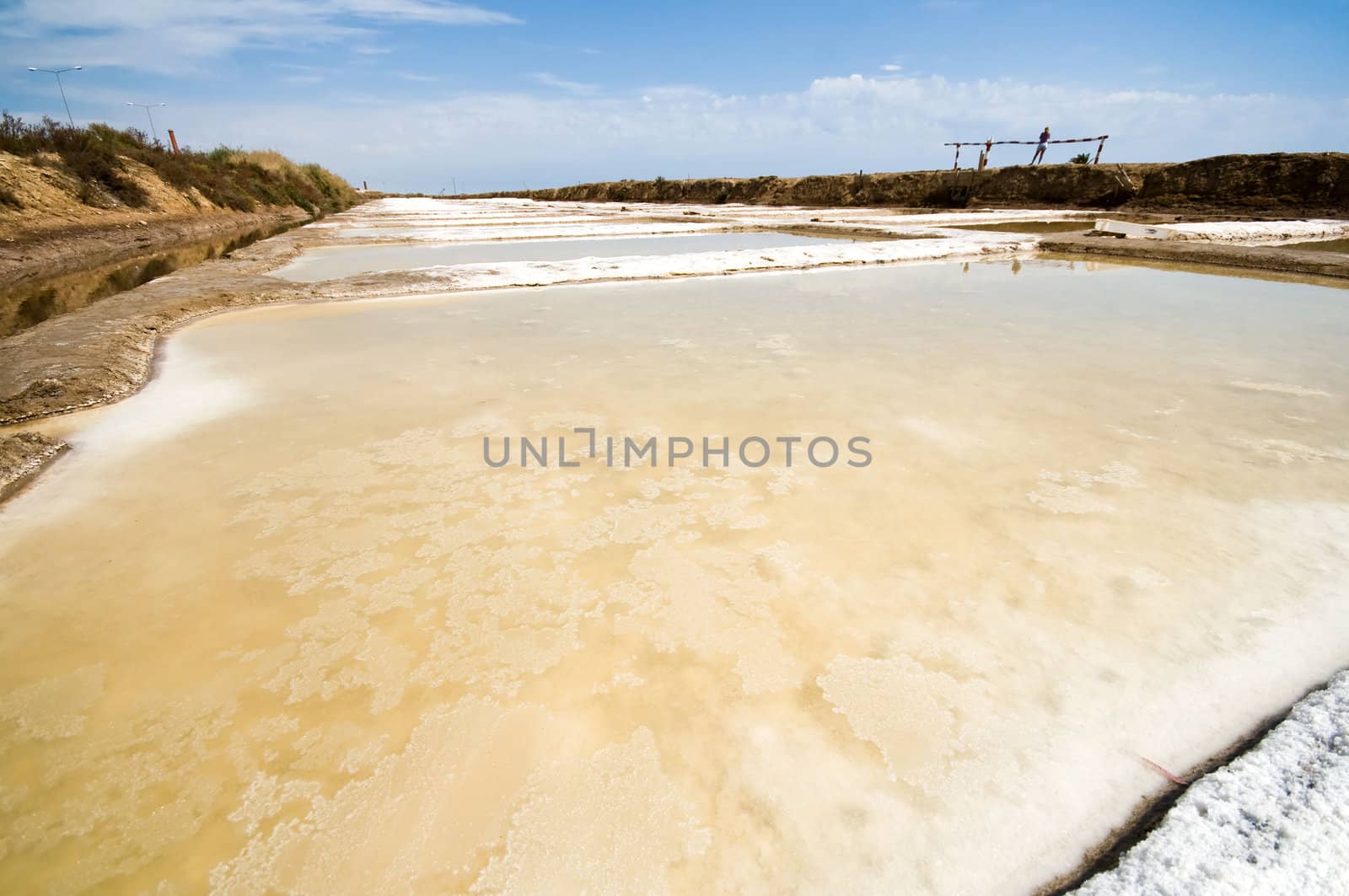 Portugal, Algarve. Saline marshes in Tavira.