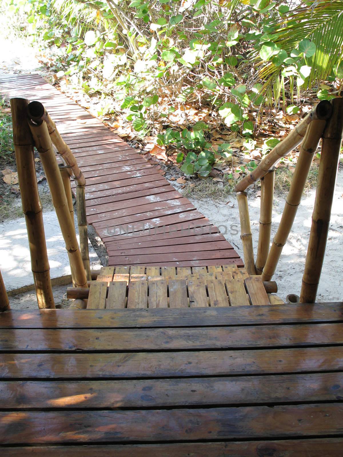 wooden steps to a path