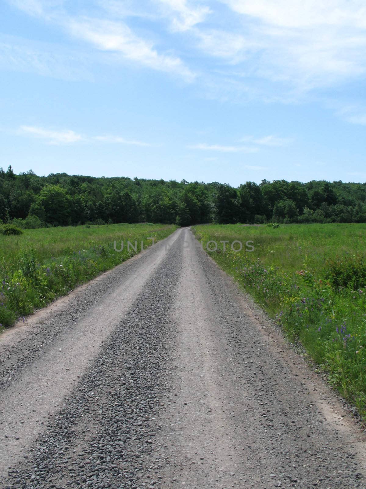 dirt road through a field