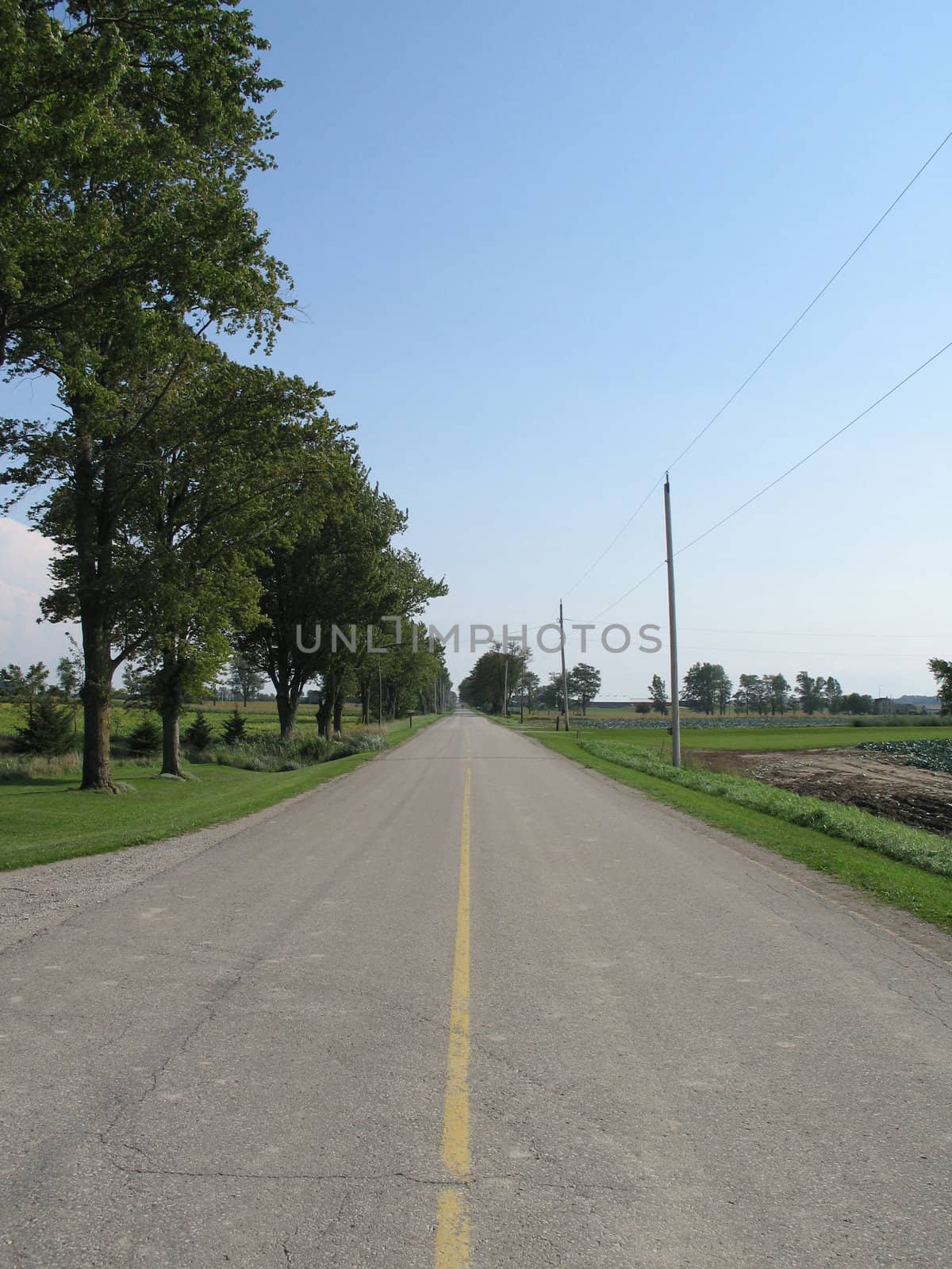rural road  by mmm