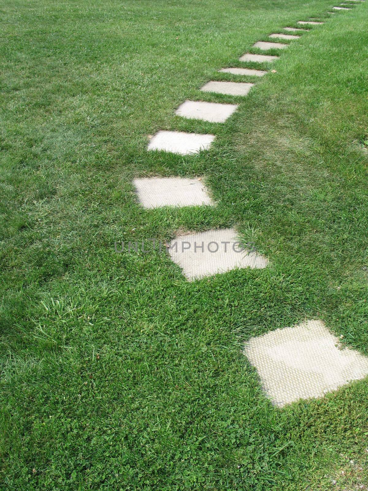 path through the grass