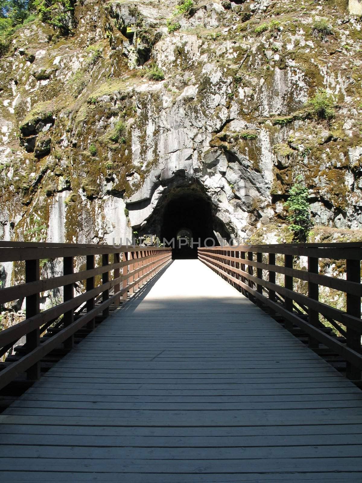 long, old wooden bridge going into a tunnel