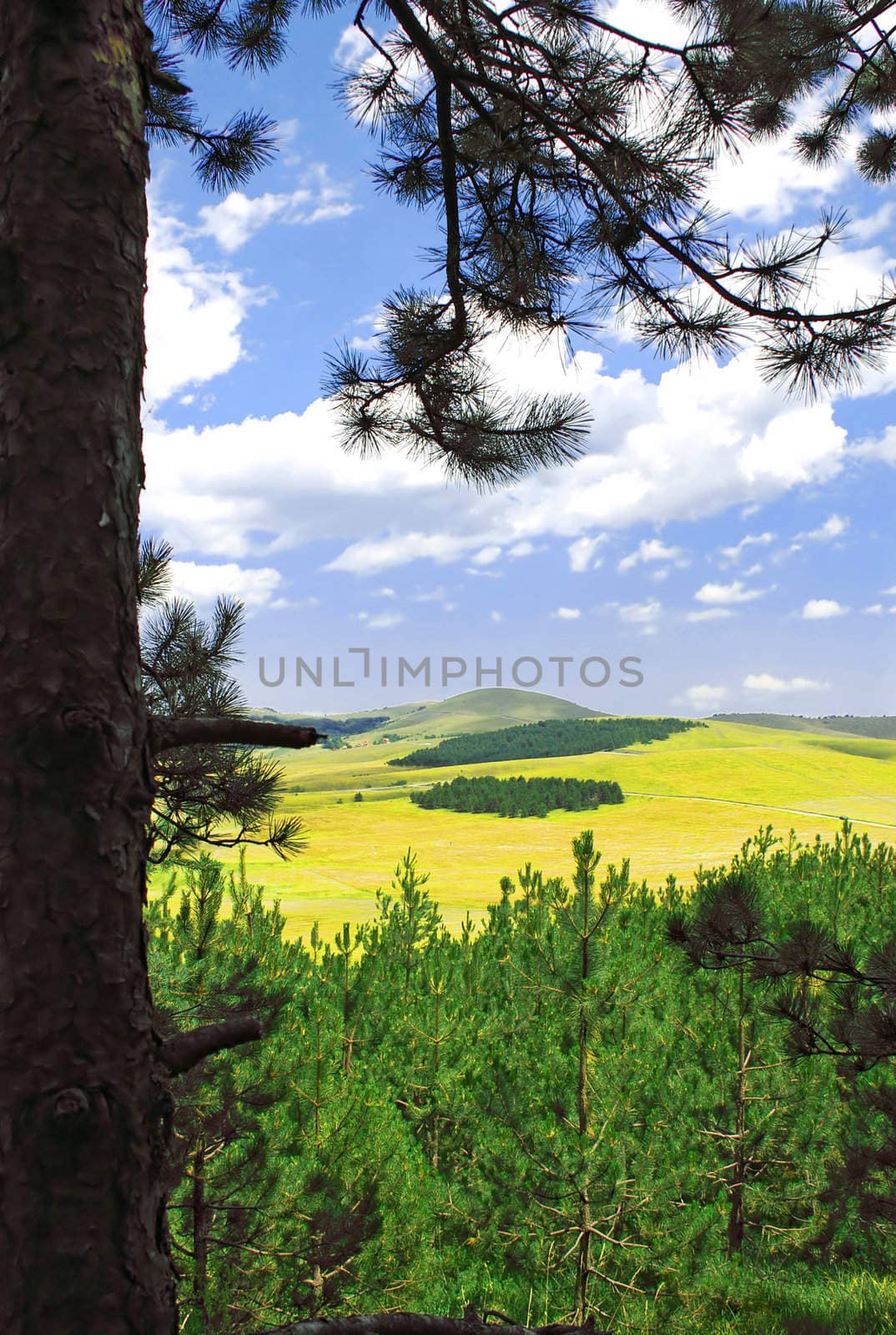 Rural mountain landscape with forest and meadows