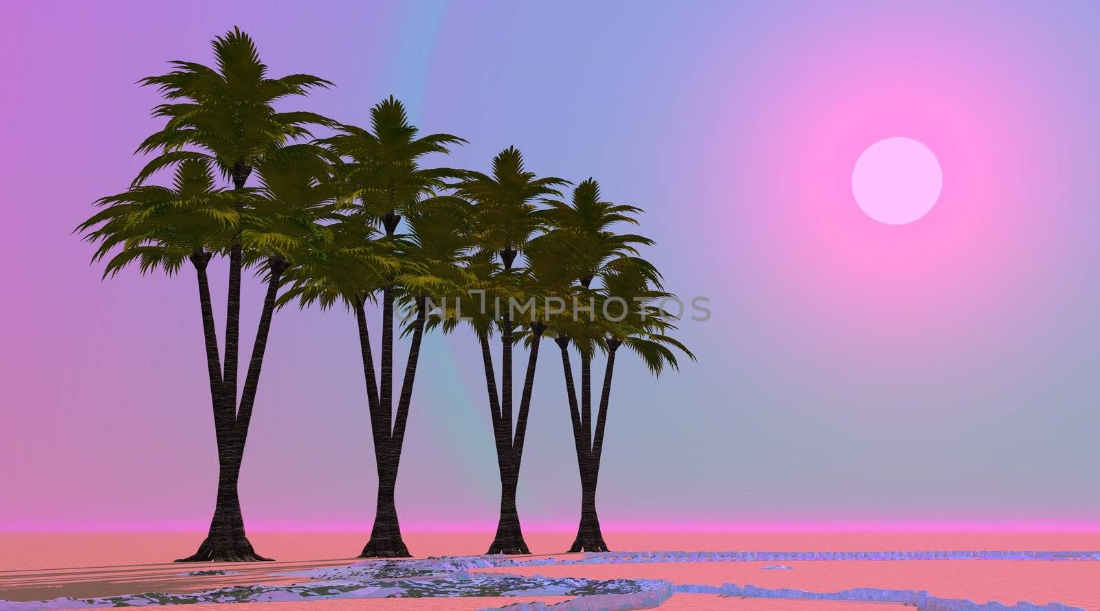 Four palm trees aligned in a desert with little water and by violet and pink sunset