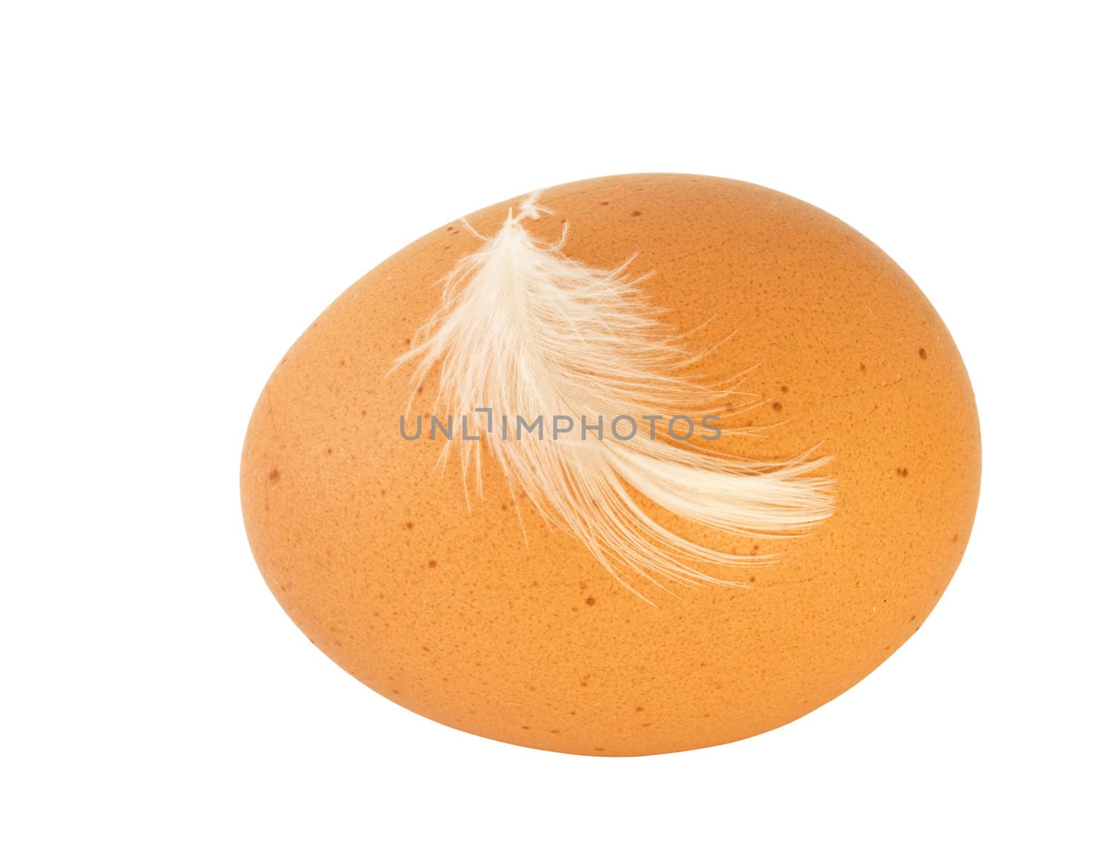 Hen egg and feather isolated over white for Easter