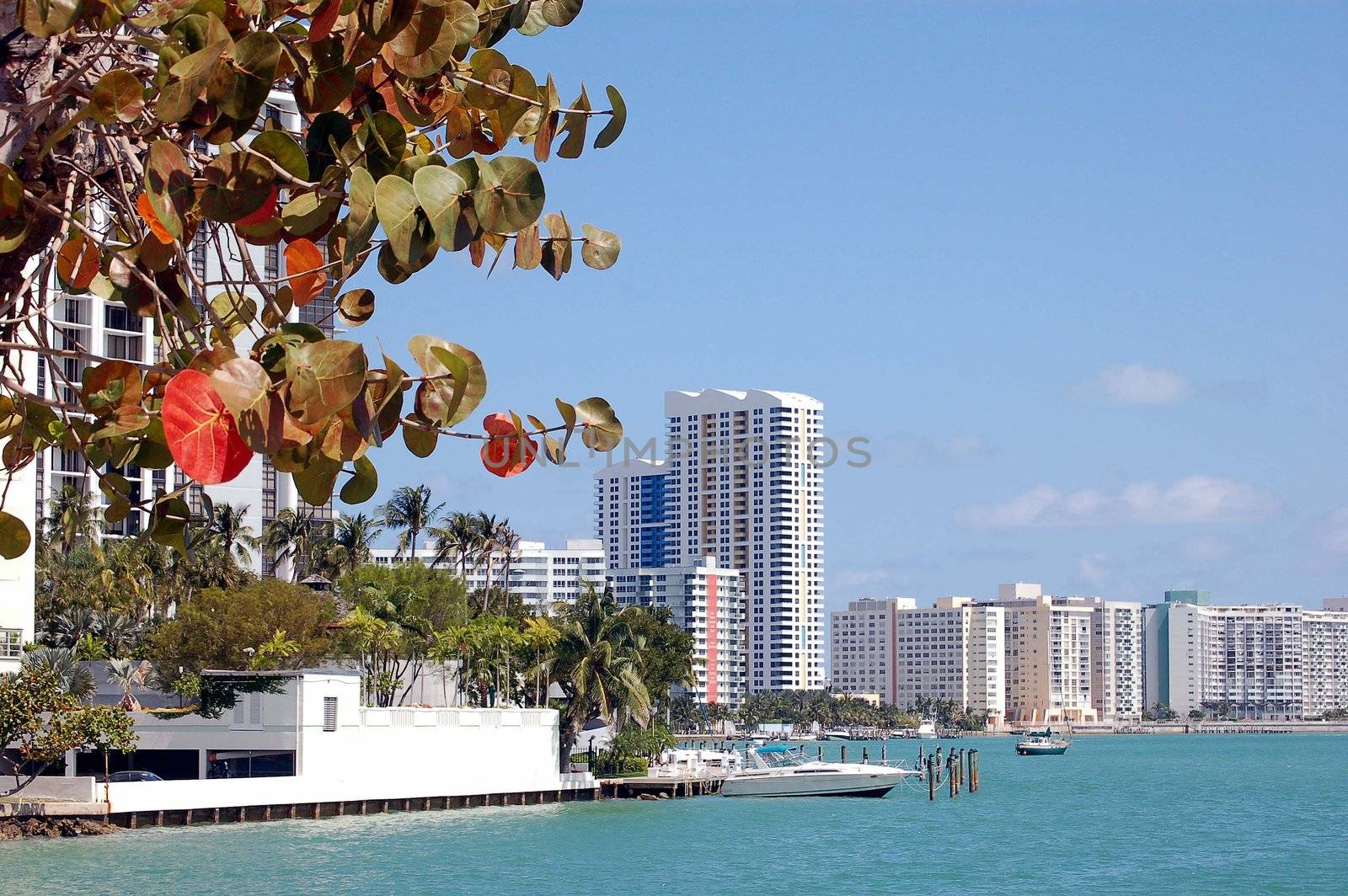 View of a smal marina and condo skyline of the southbeach section of miami beach,florida