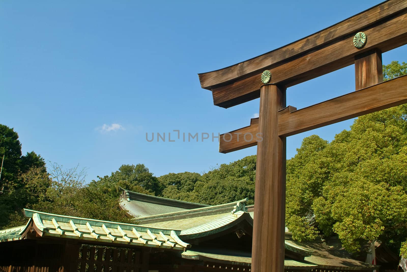 Meiji-Jingo Shrine gate