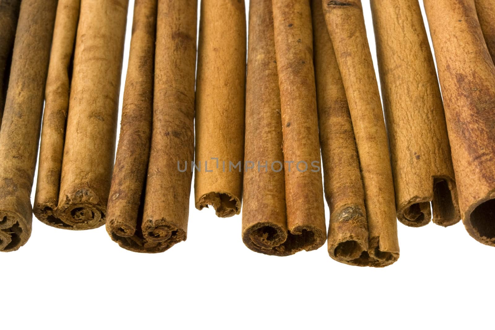 cinnamon sticks isolated on white background, focus on sticks ends