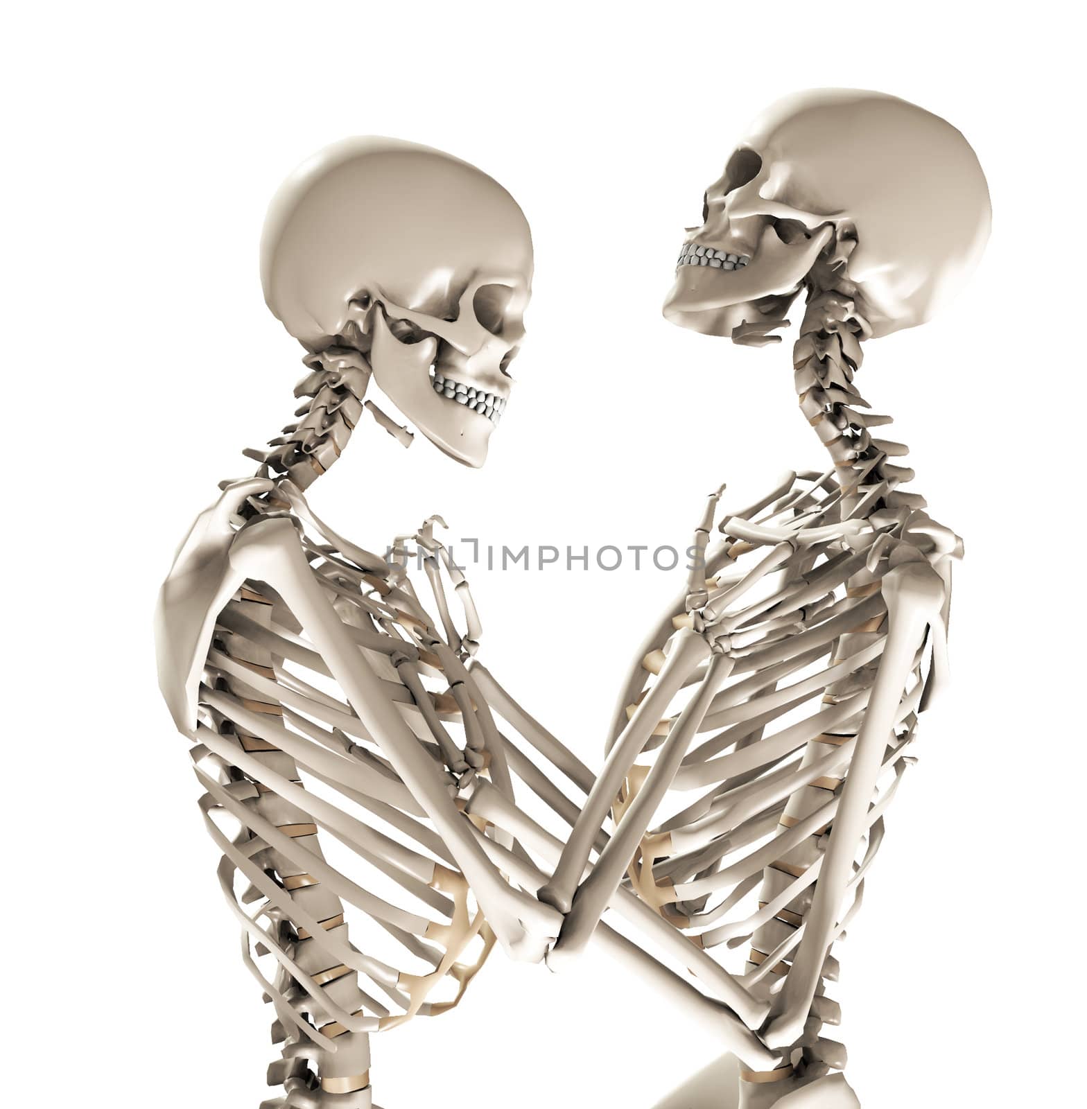 A pair of skeletons in a loving and tender pose.