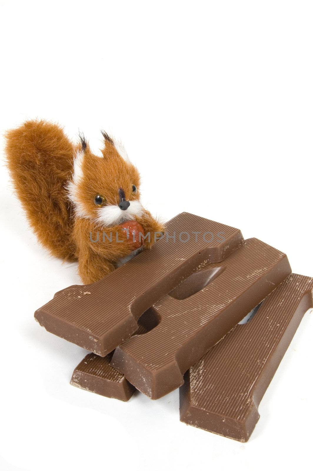 cute plushy squirrel with a chocolate letter for dutch holiday c by ladyminnie