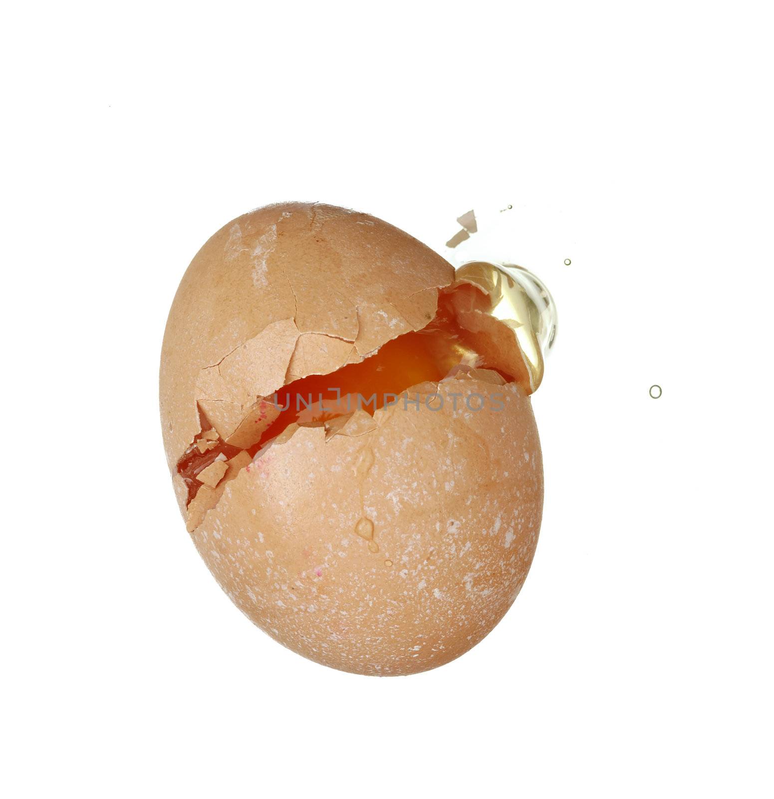 Detail of the cracked egg