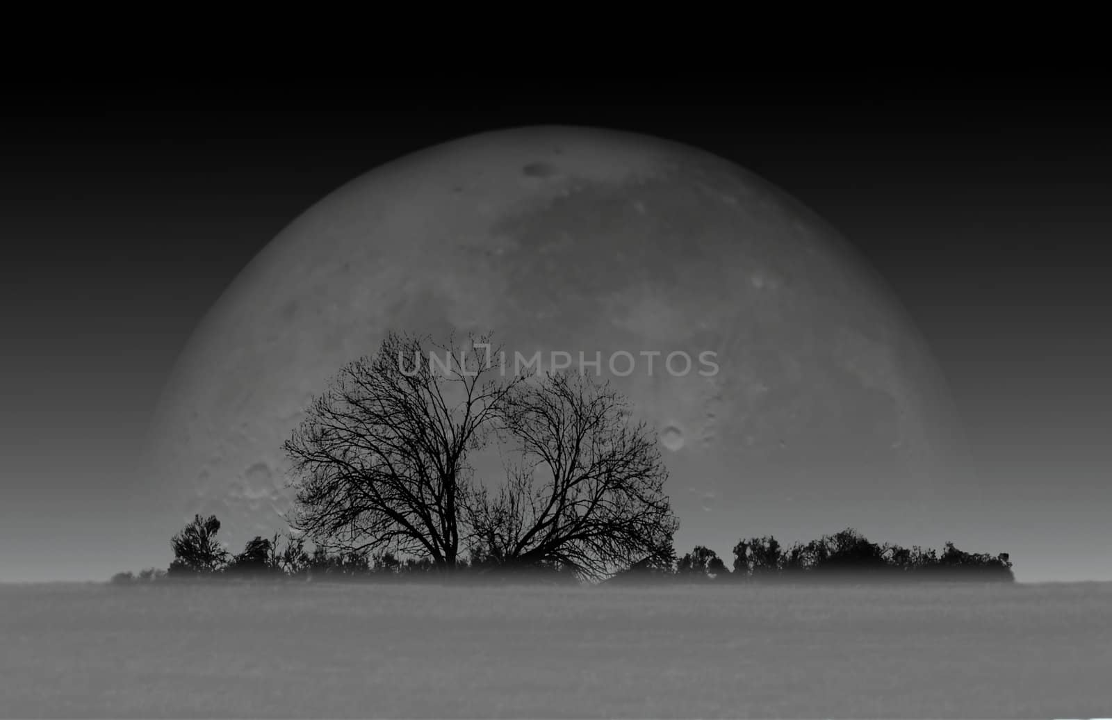 Moonrise by Ragnar