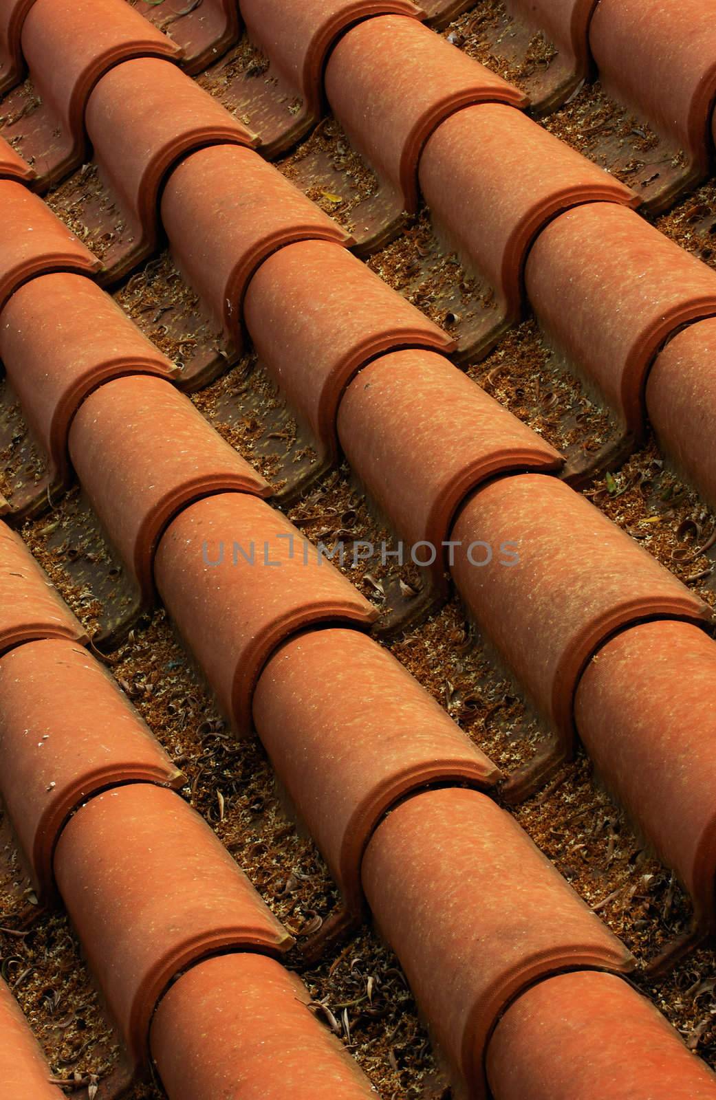 Image shows rows of tiles from a roof