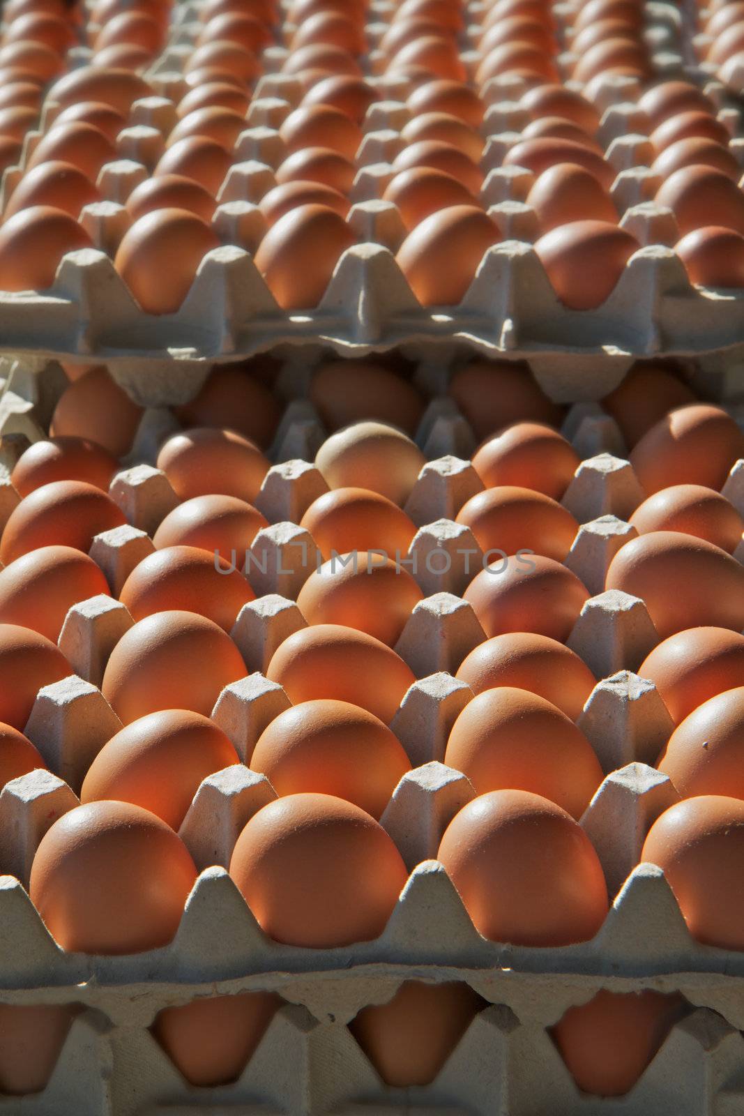 Stacks of dozens of brown eggs at the farmers market