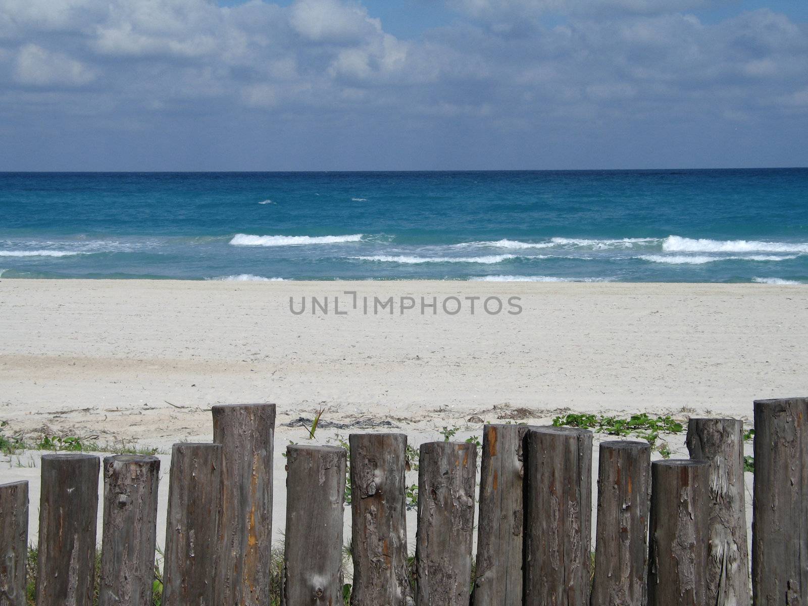 tropical seascape by mmm