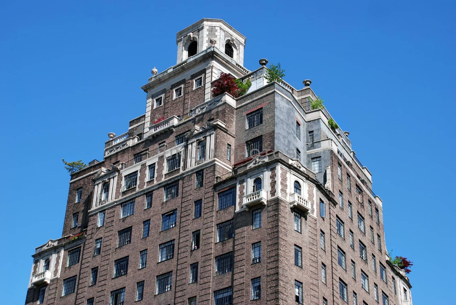 top of old brick skyscraper in New York City with bushes and plants on roof