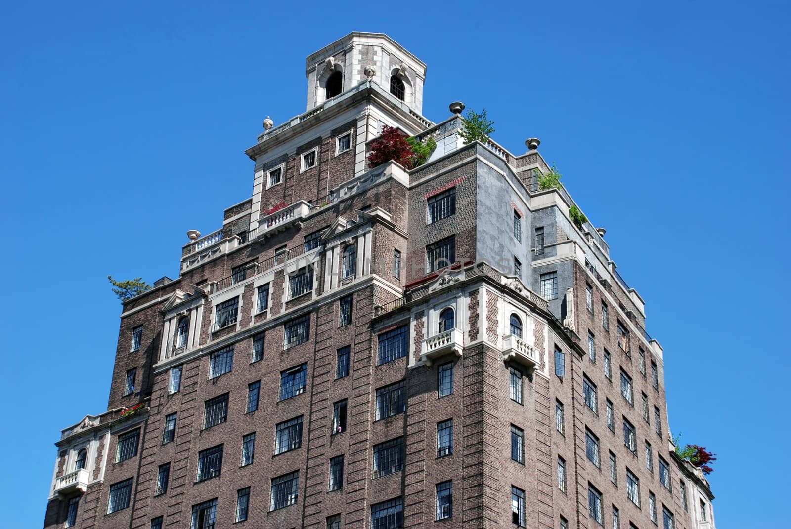 Bushes on building roof by simply