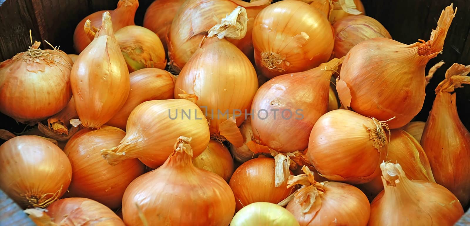 orange large onion bulbs food background