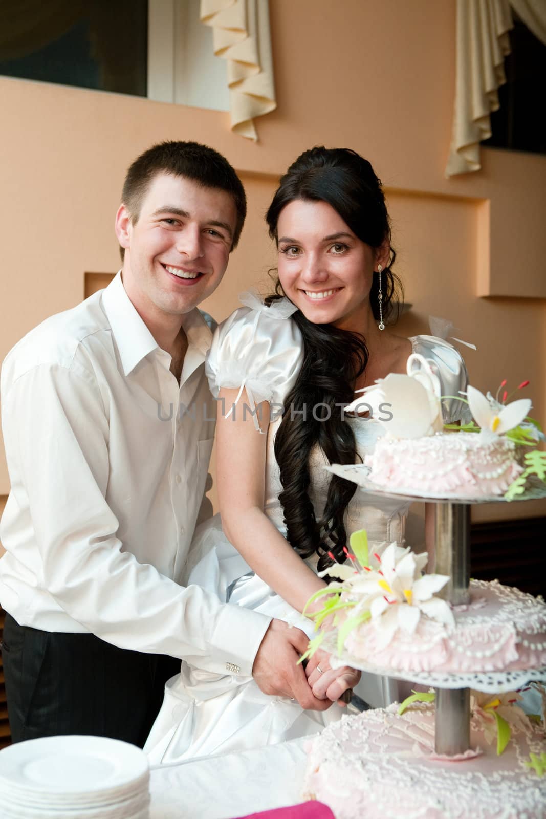 couple cut a wedding cake