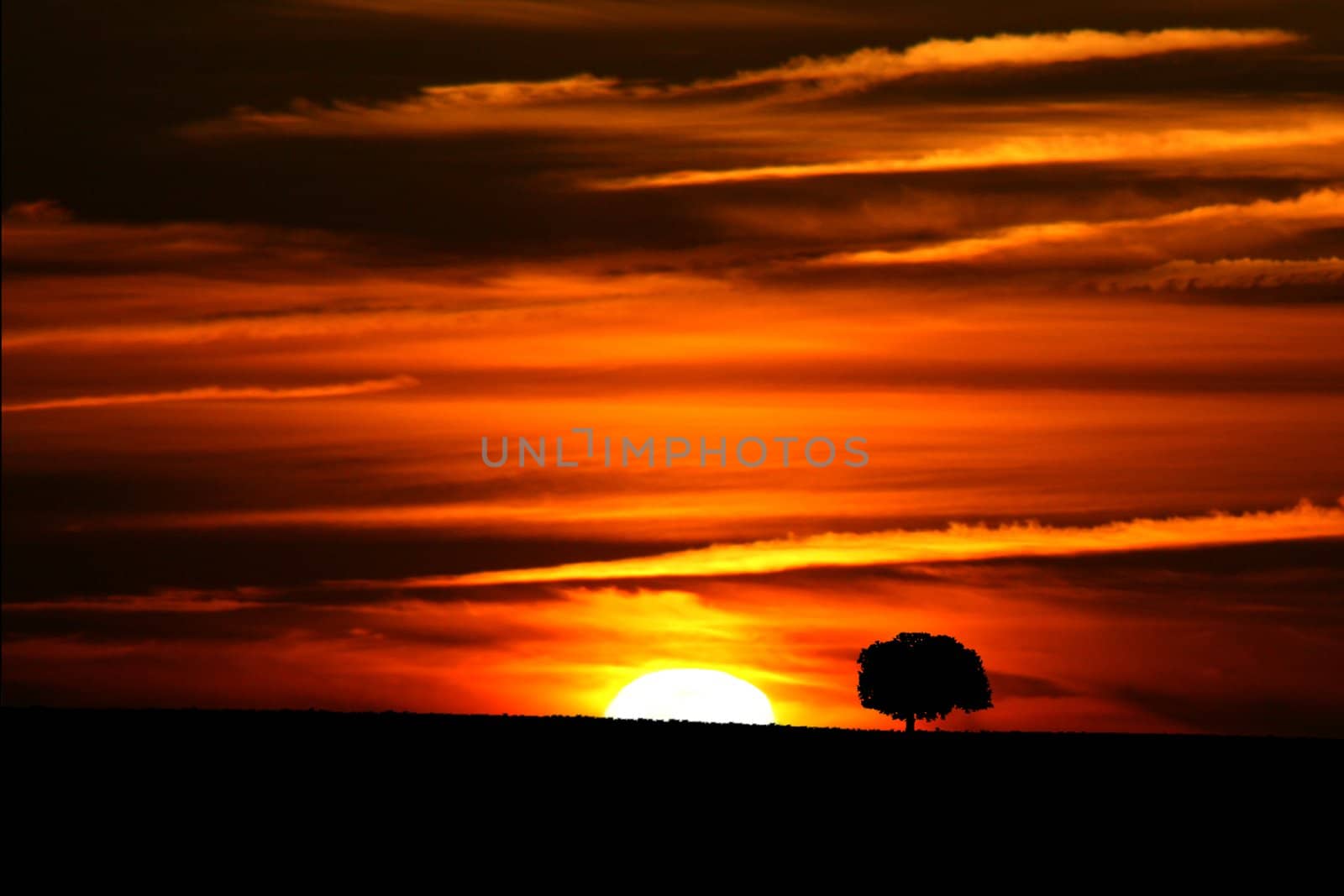 beautiful sunset in Alentejo