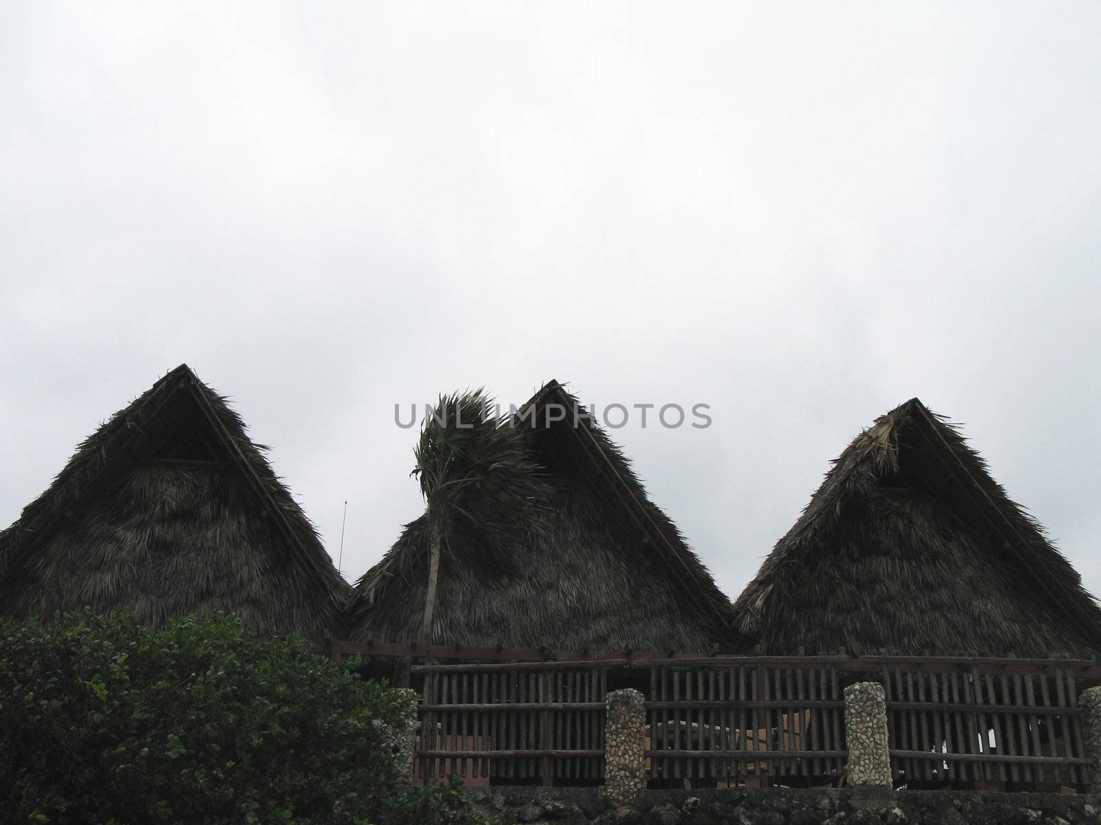 restaurant made of palm leaves