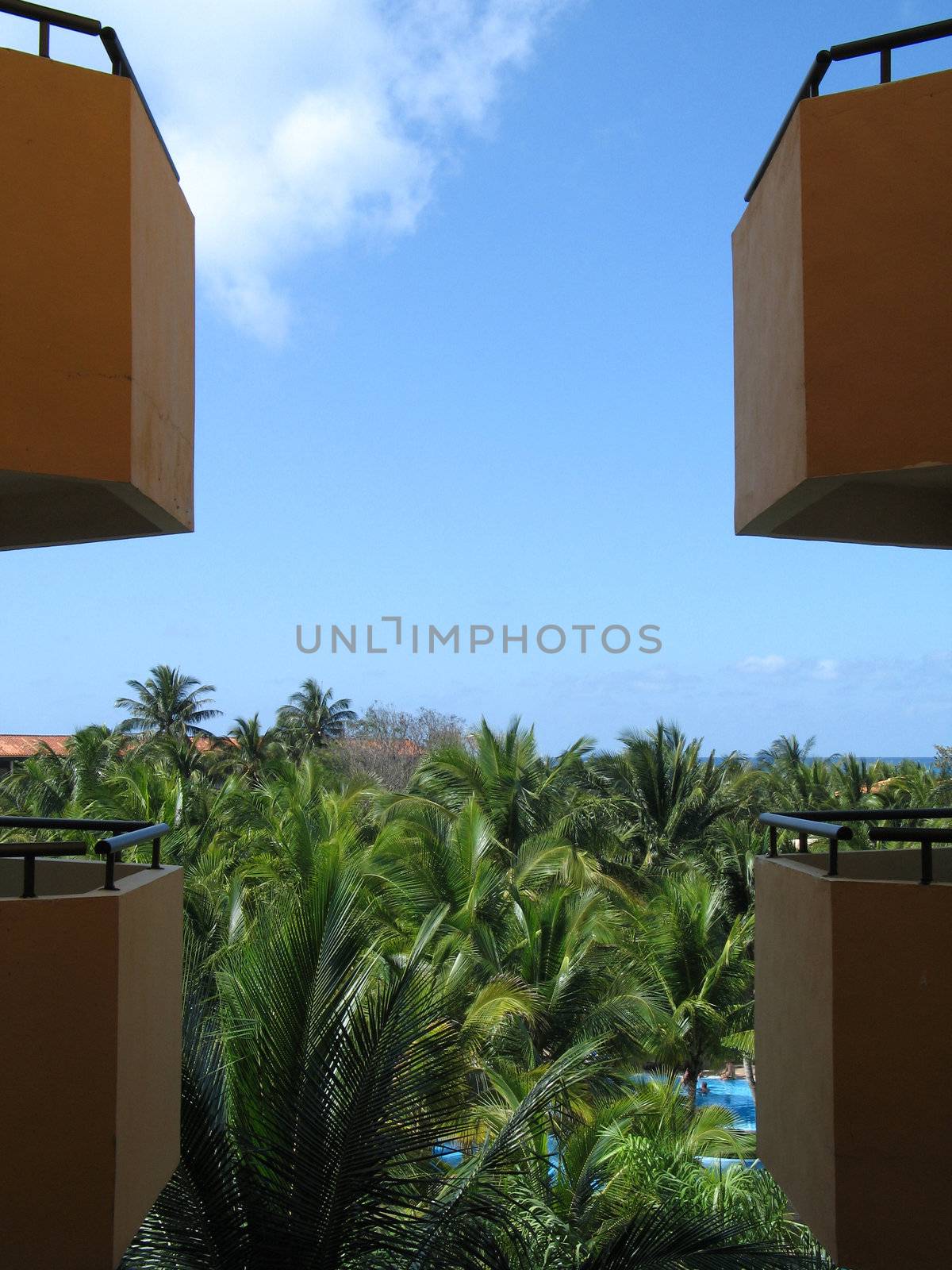 balconies and palm trees