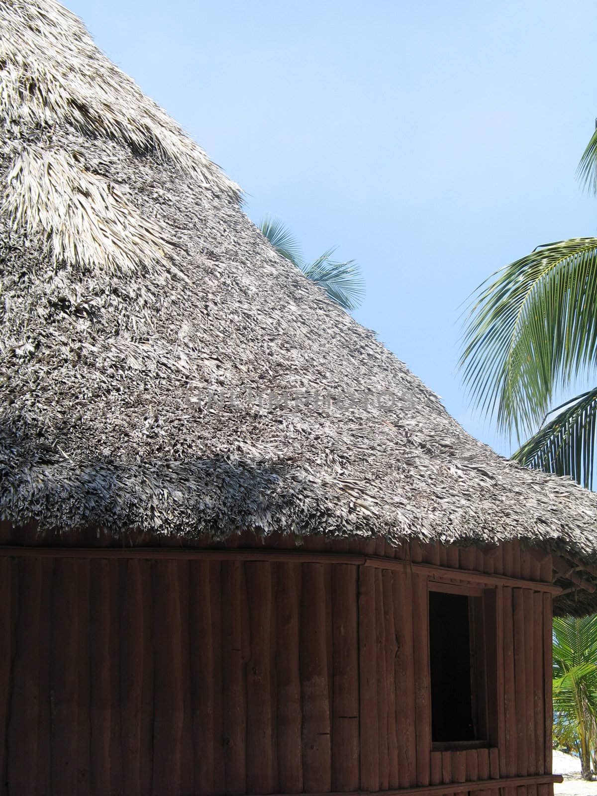 tropical hut 