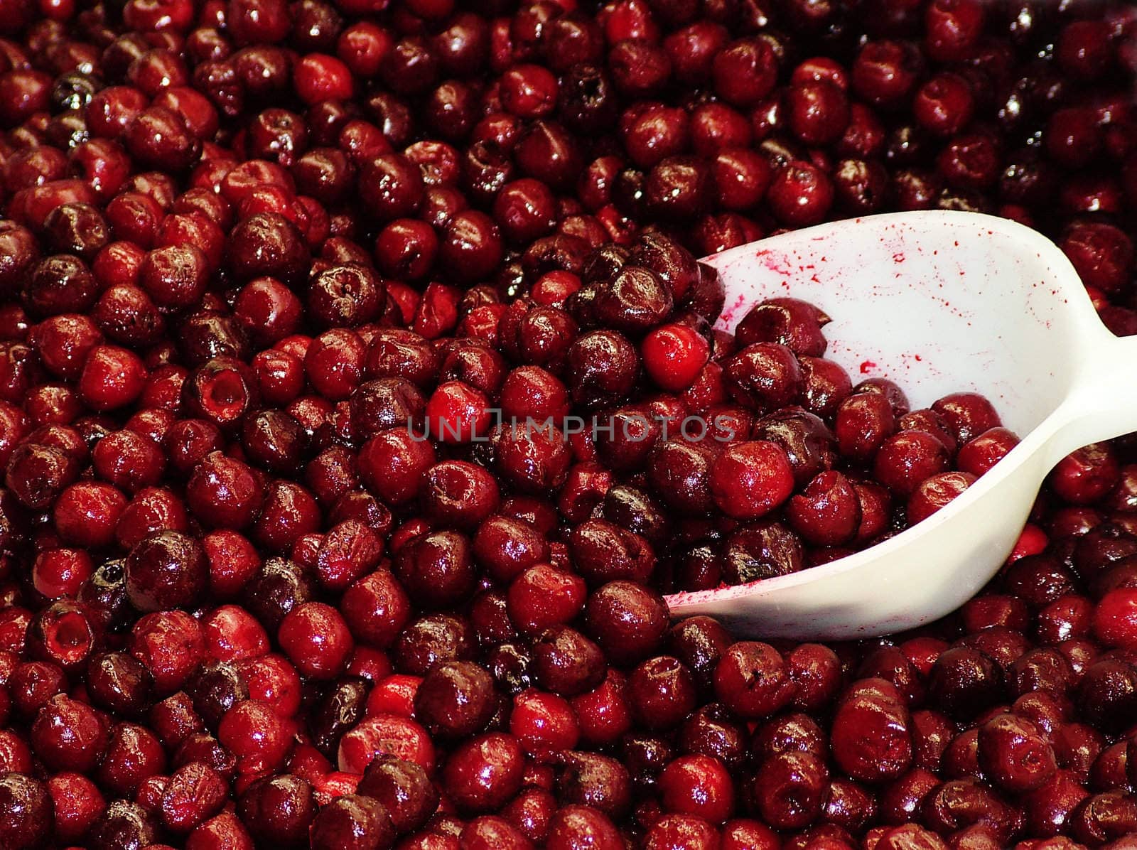 Frozen Cranberries on the foodshop by palomnik