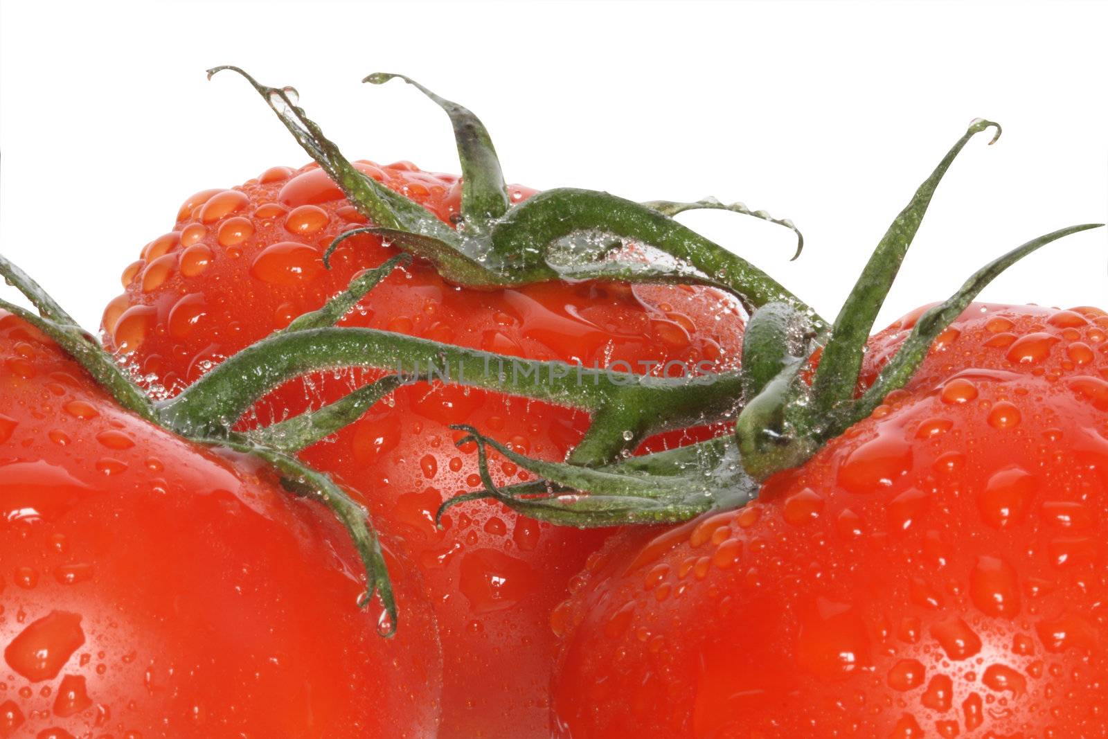 Closeup of fresh tomatoes with water drops isolated on white background with clipping path