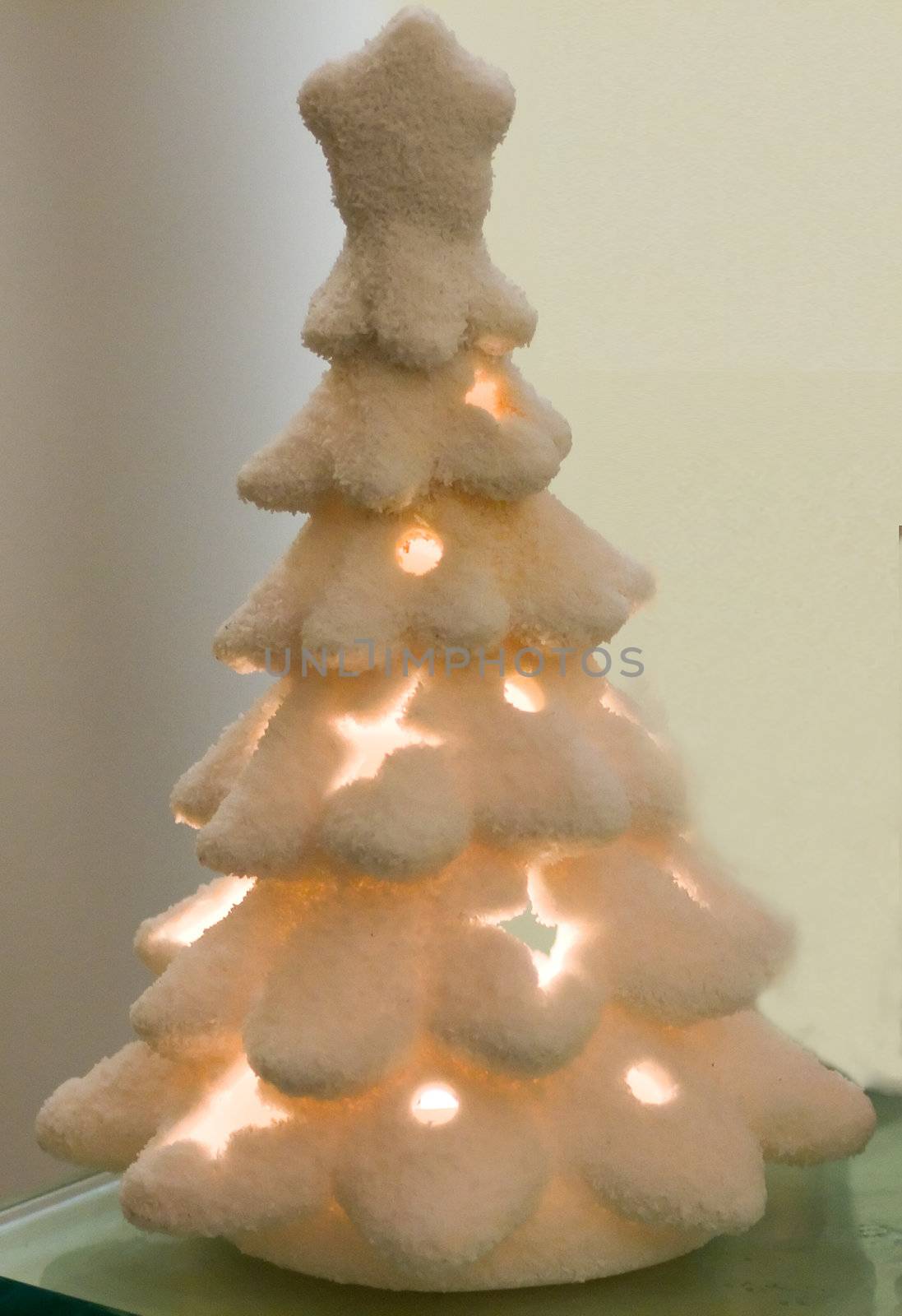 Little Christmas Tree by Koufax73