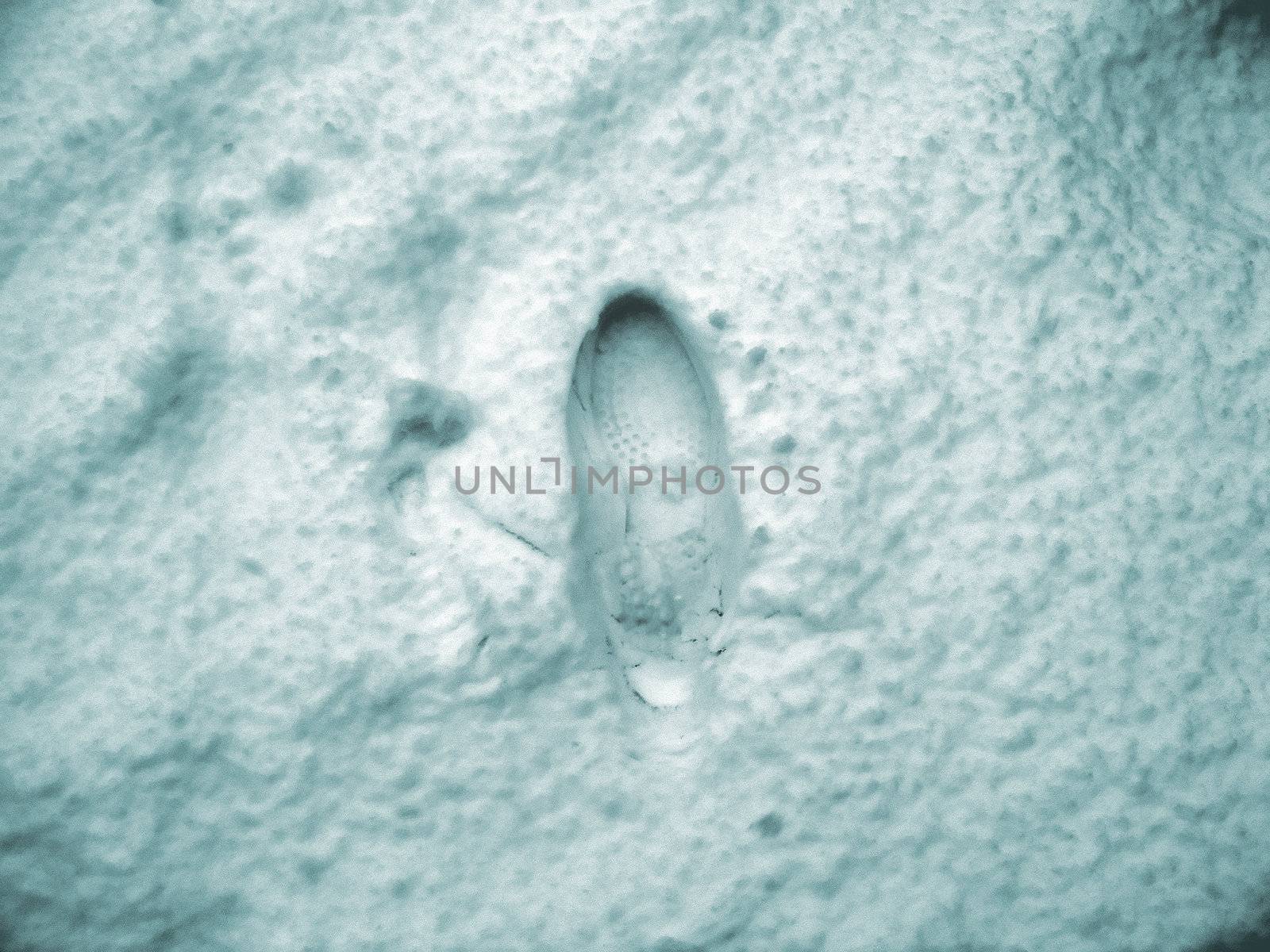 A footprint in the snow