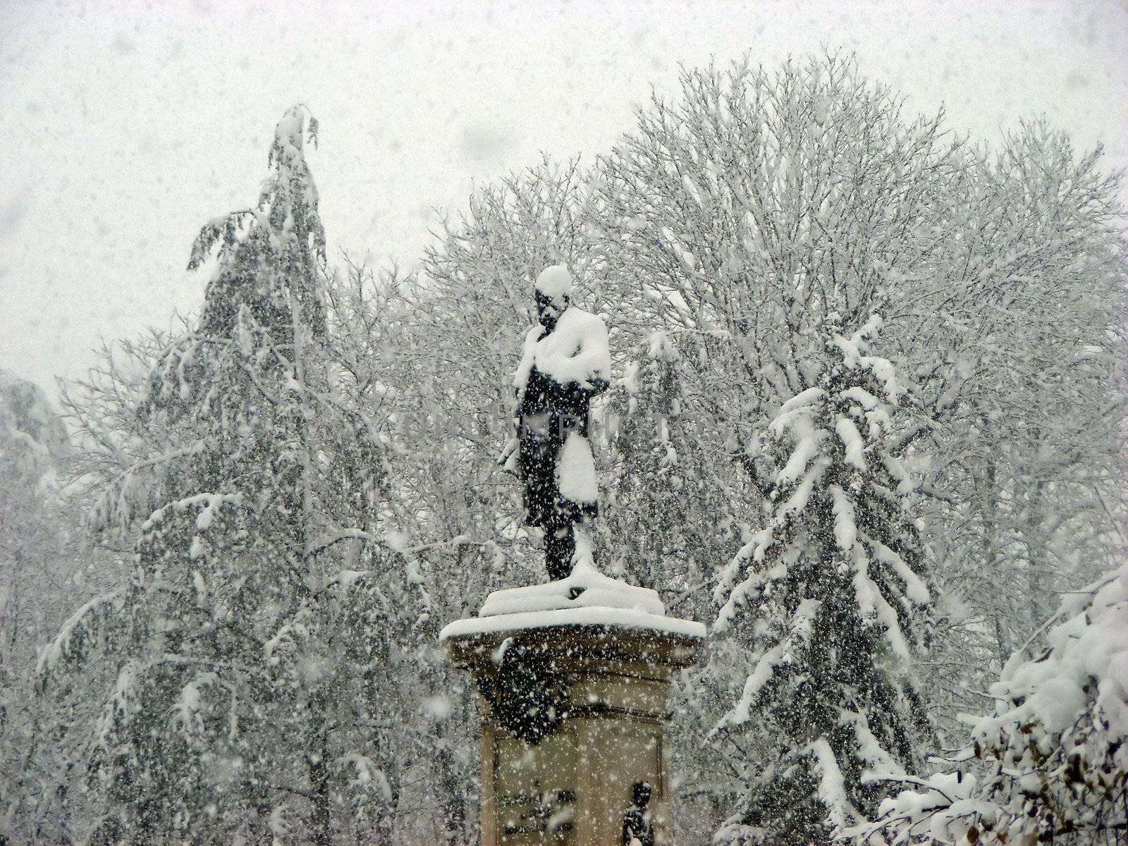 Snowy landscape in the city