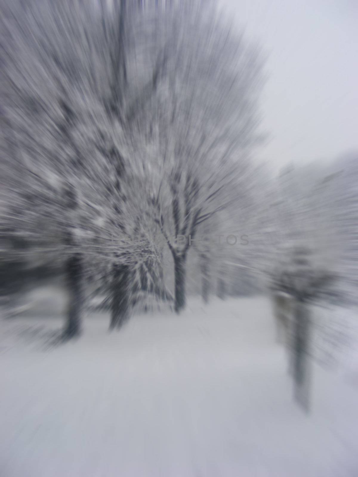 A snowy blurred landscape