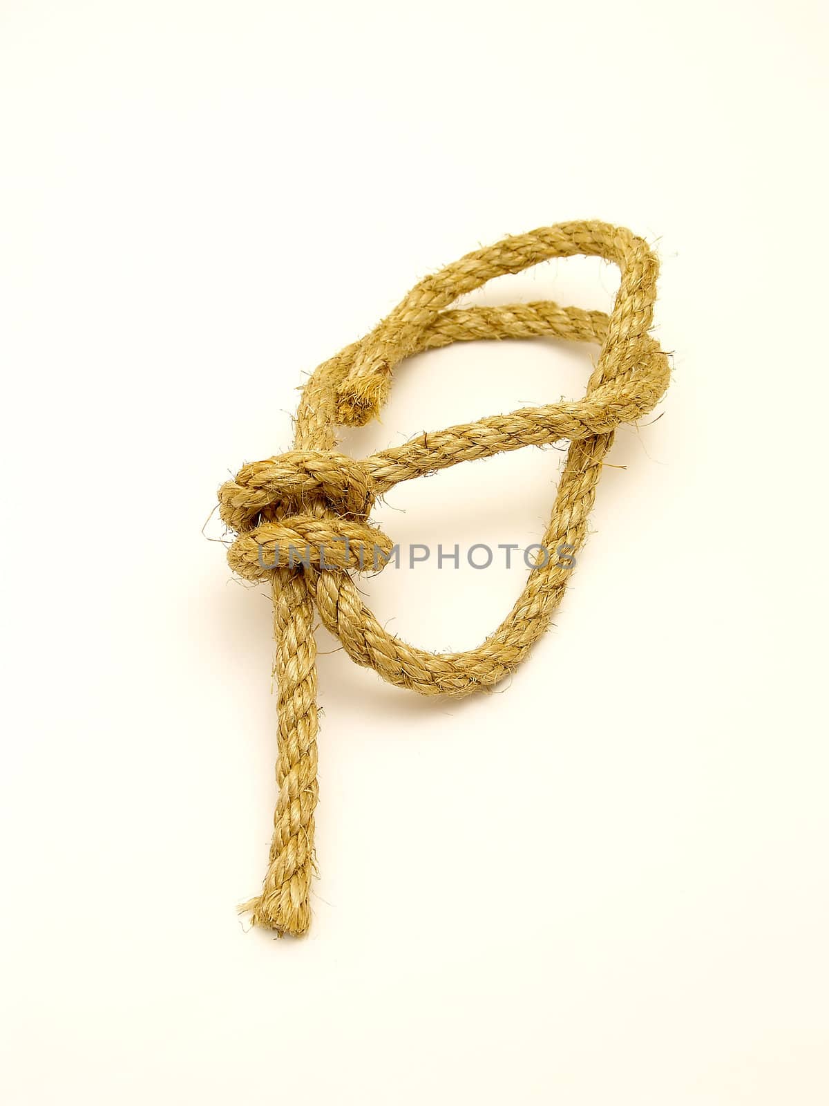 	
rope isolated on a white background