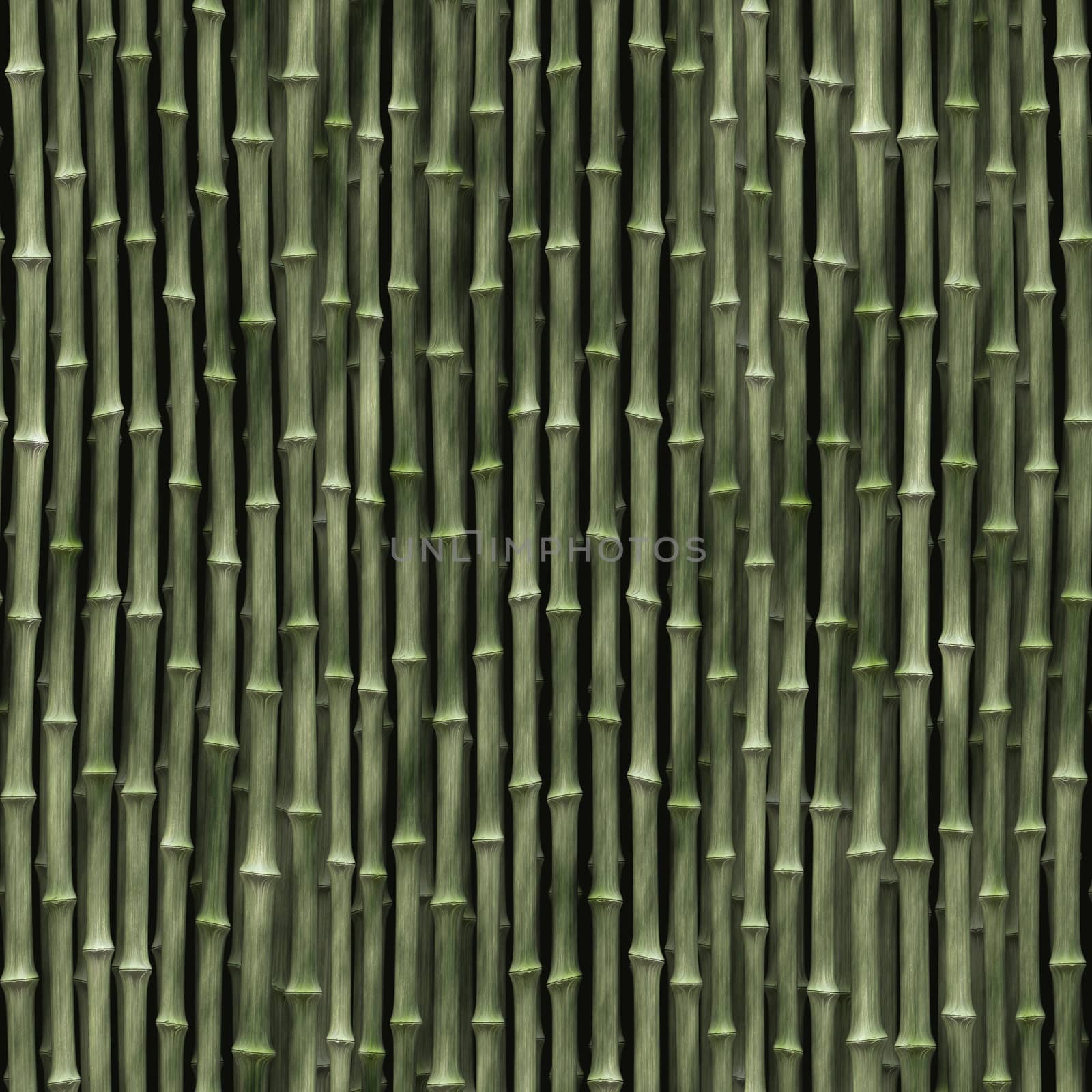 illustration showing a bamboo background seamless pattern