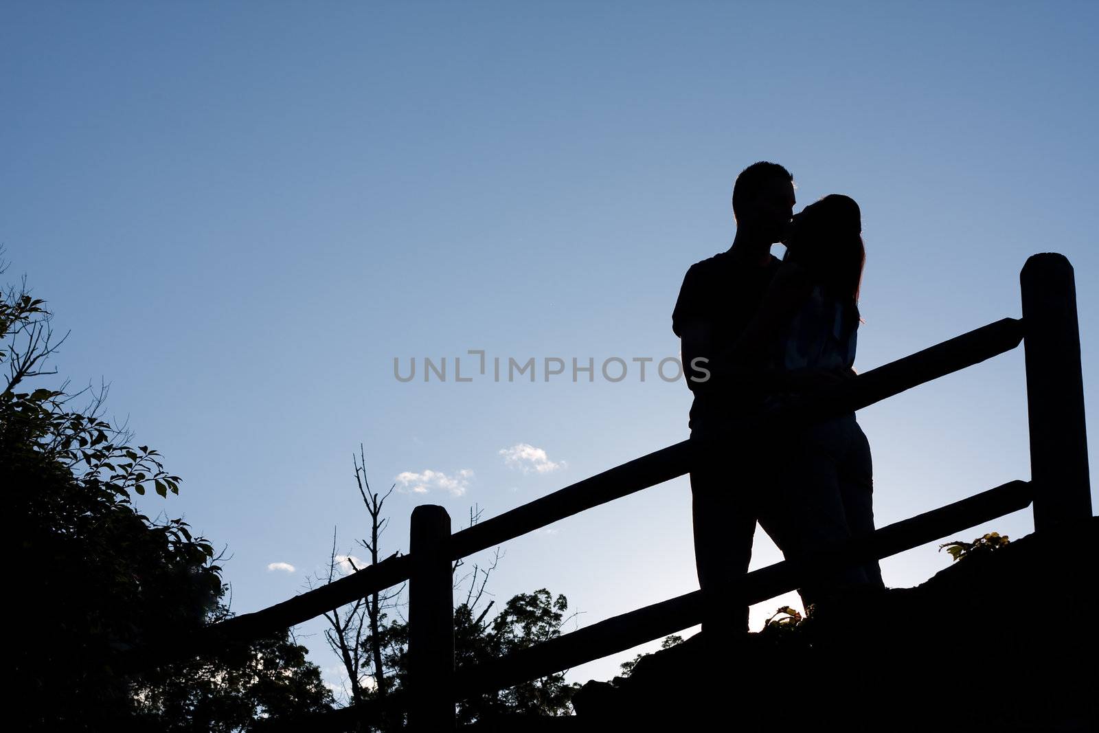 Silhouette of an affectionate couple romantically kissing each other in the early evening hours.