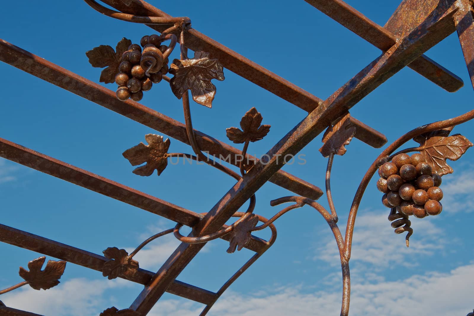 Brown iron trellis with grape vine design against a blue sky with clouds