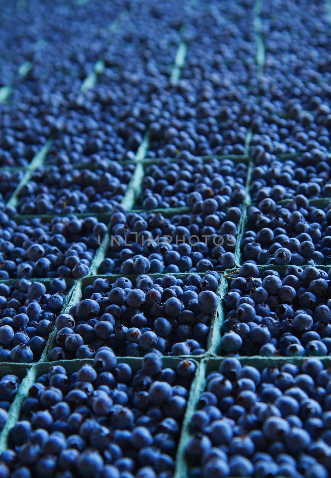Large table full of dozens of blueberry baskets trailing to soft focus background