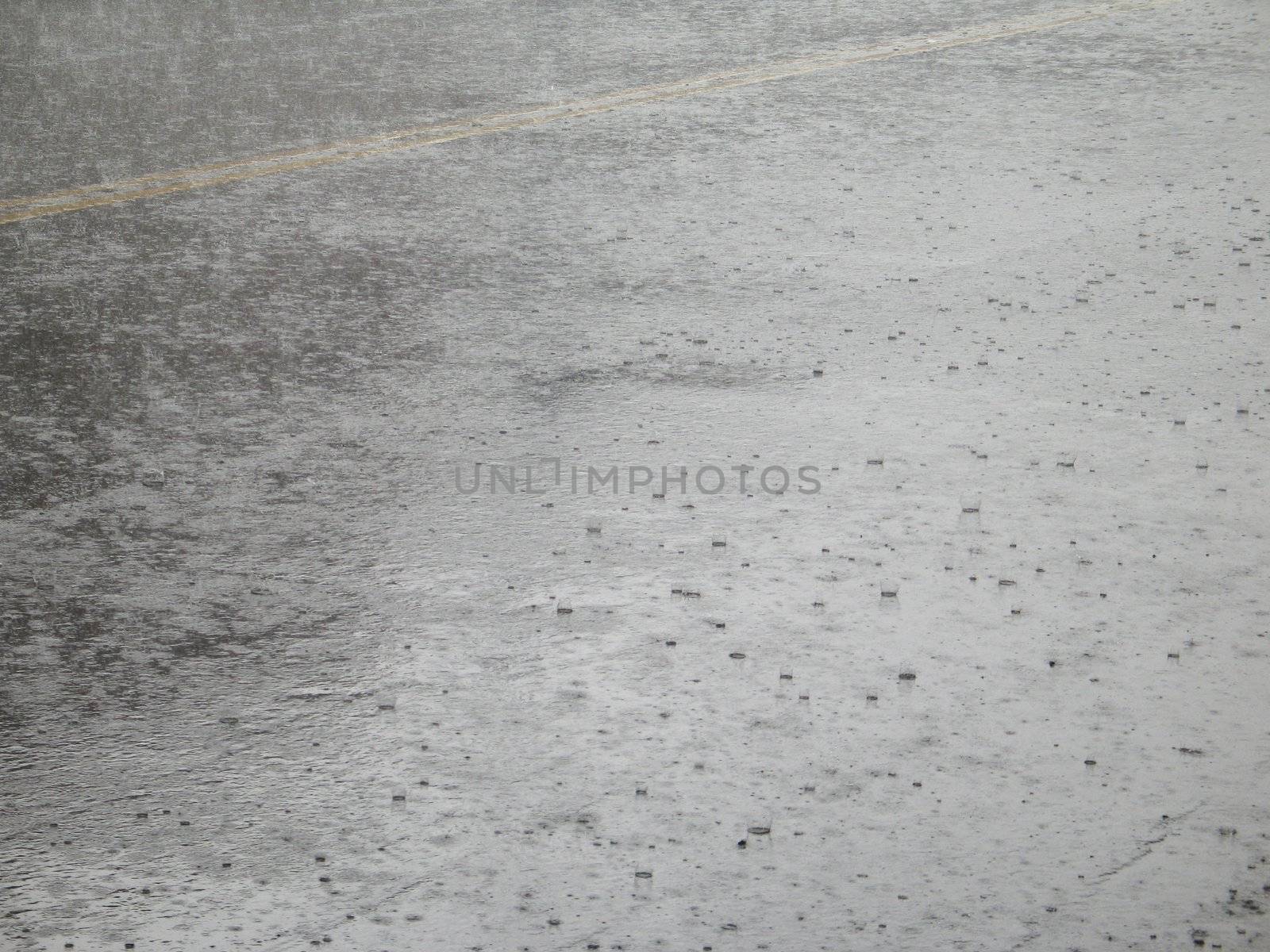 rain in the street